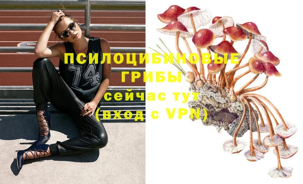 МДПВ Алексин