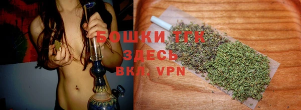 ешки Арсеньев