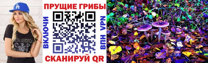 Псилоцибиновые грибы ЛСД  Багратионовск 