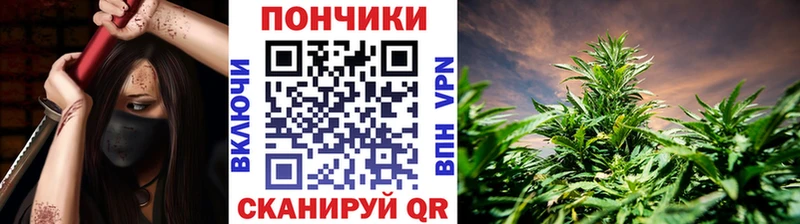 Каннабис SATIVA & INDICA Багратионовск